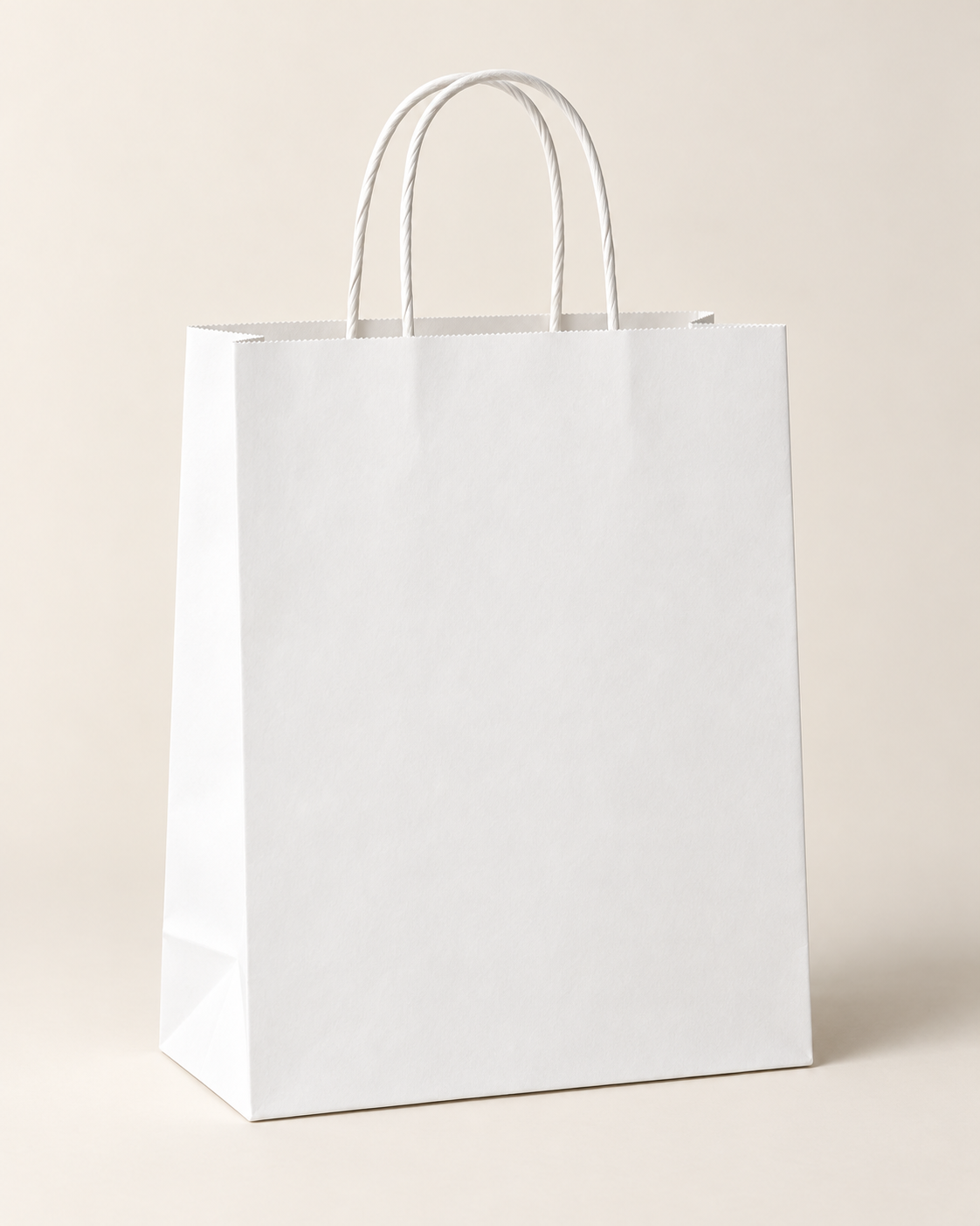 Paper Bag product preview
